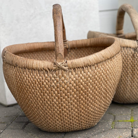 Mila Basket